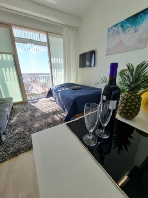 Penthouse in the Oulu center Oulu